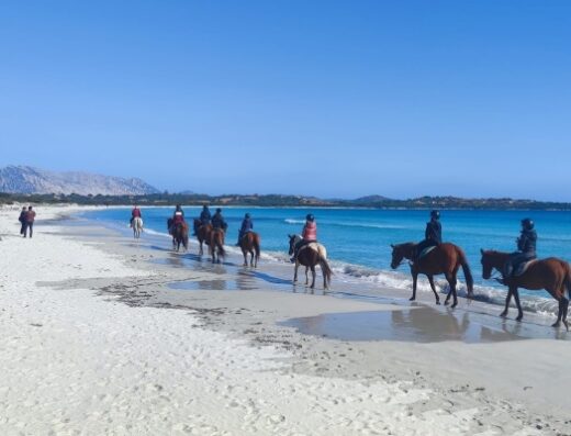 Maneggio “La Cinta” a San Teodoro