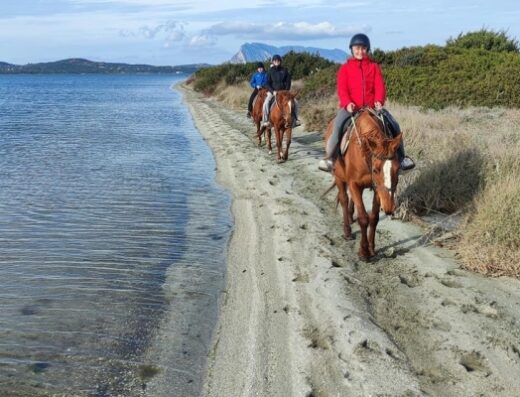 Maneggio “La Cinta” a San Teodoro