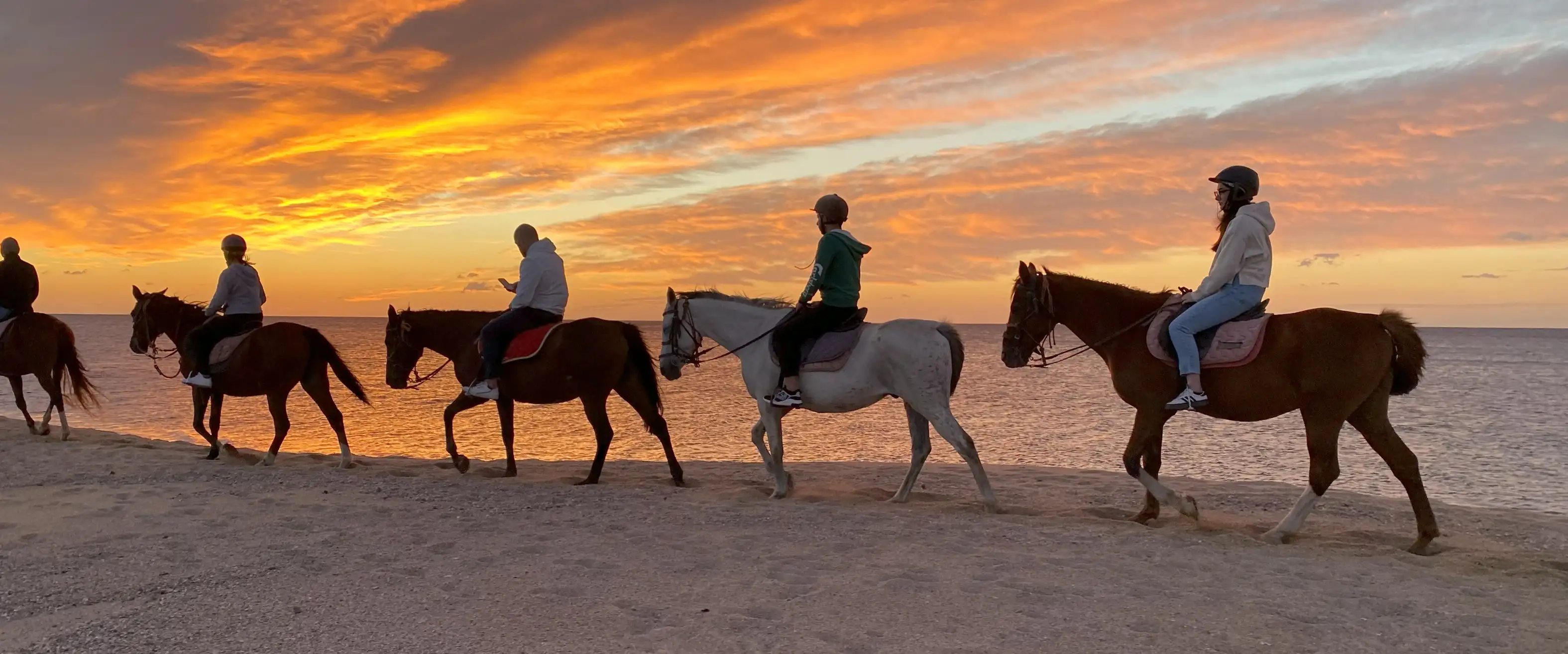 🐎 Escursioni a Cavallo in Sardegna 🌿